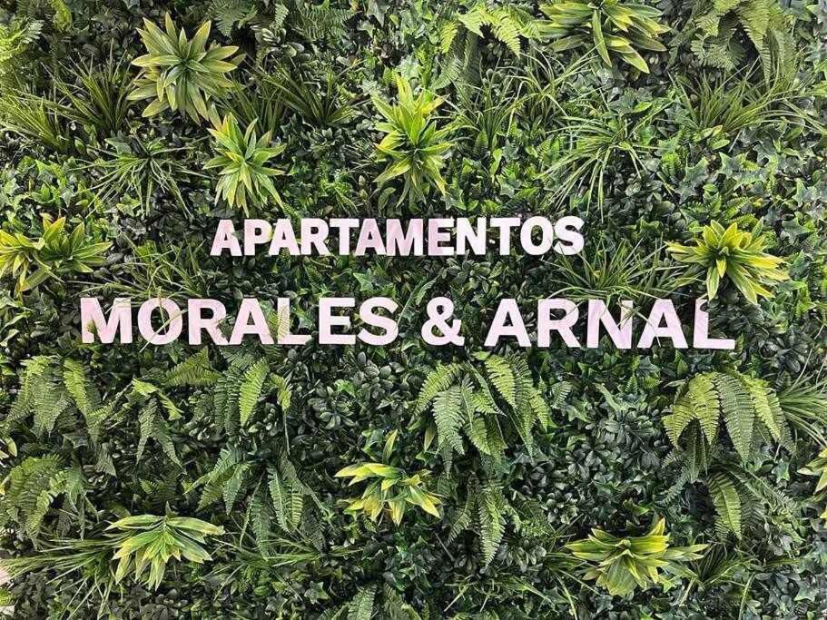 XXI E Apartamentos Morales & Arnal Ронда Екстериор снимка